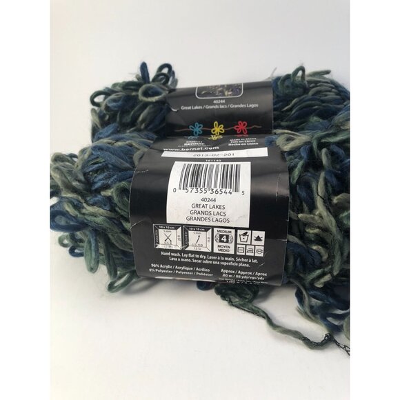Lot of 2 Bernat Fleurettes Color Great Lakes 88 yards - Picture 2 of 3